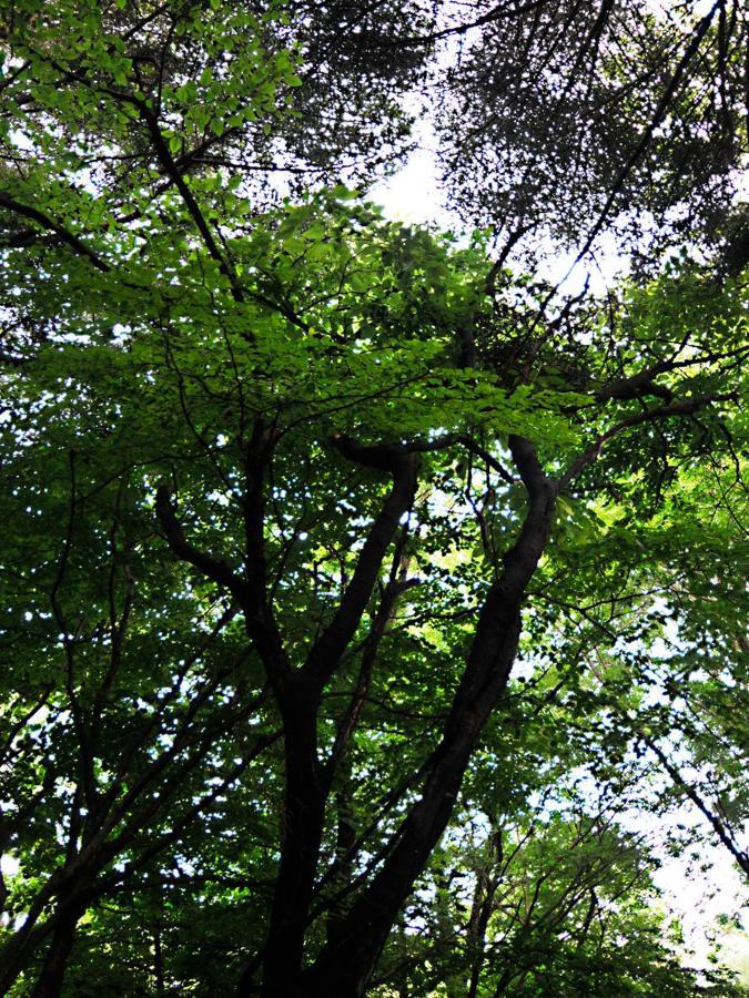 大人スイート 那須高原 結 Cottage Nasu Luaran gambar